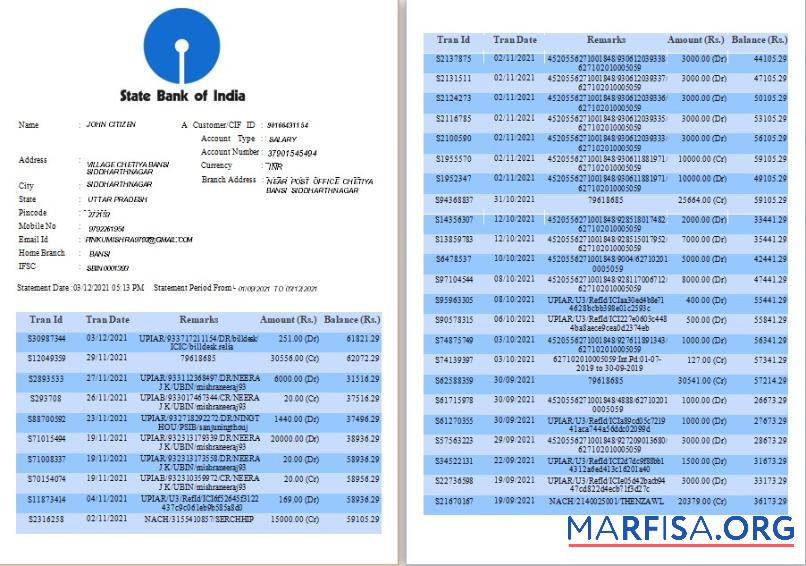 Realistic India State Bank of India bank statement word 6 pages download for verification